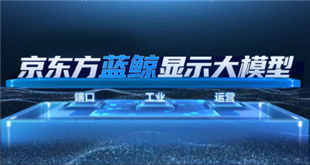 京东方发布2025年可持续发展报告