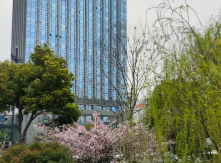 专家解读 | 筑牢数据产权基石 激活要素价值潜能：深度解读数据产权制度创新与实践