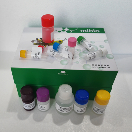 酶聯(lián)生物在上海：誠信為根，品質(zhì)為魂的科 硏伙伴