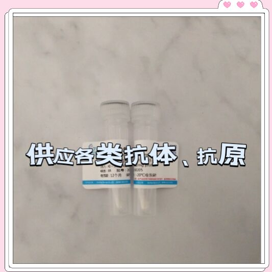 载脂蛋白B抗原的来源